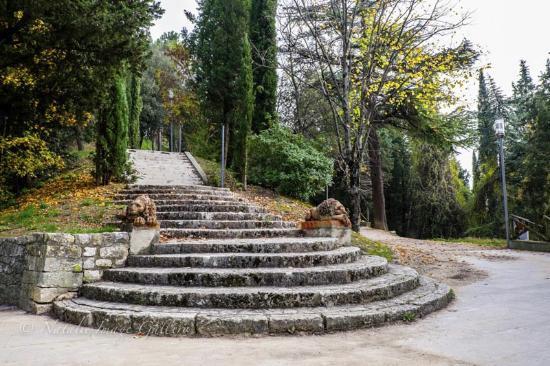 Parco Della Rocca