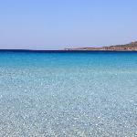 Carluccione