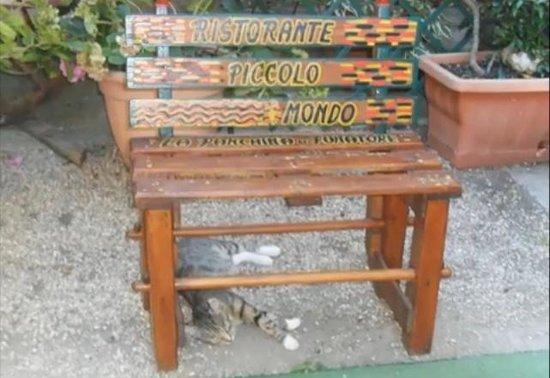 Piccolo Mondo