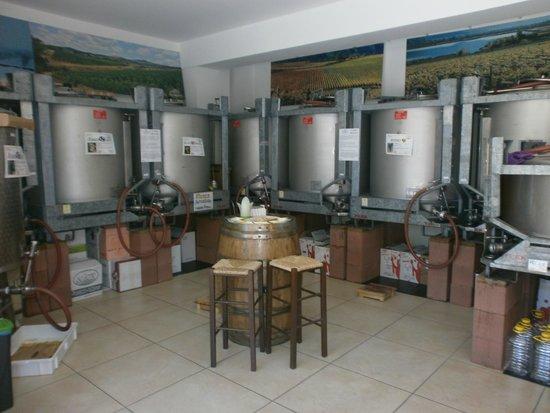 Rizzi Cantina Seiterre Perugia