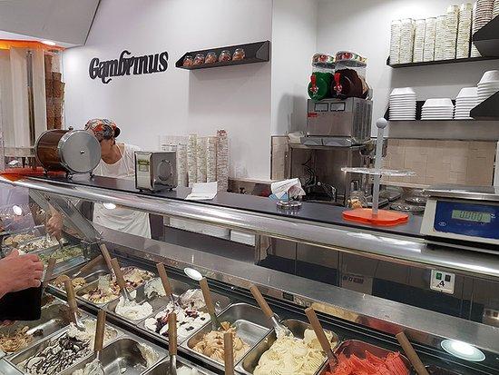 Gelataria Gambrinus