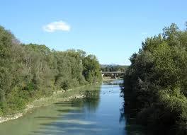 Paglia