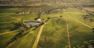 Azienda Vinicola Arnaldo Caprai