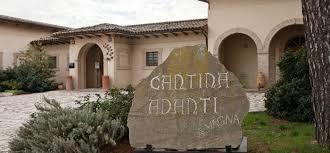 la Fattoria Adanti