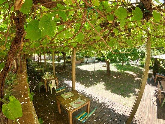 Vigna Del Borgo