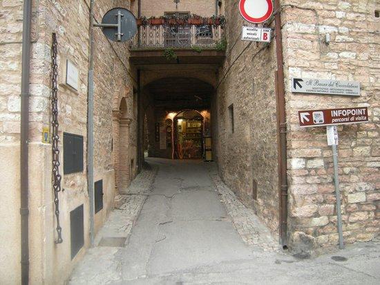 Sagrantino Wine Excursions