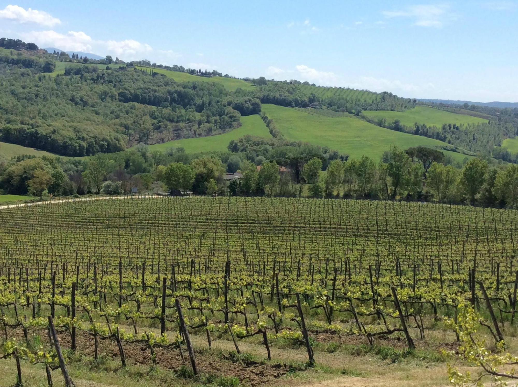 Pala Di Vittorio
