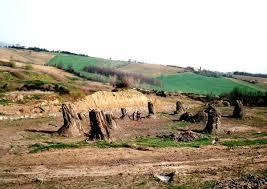 Foresta fossile di Dunarobba