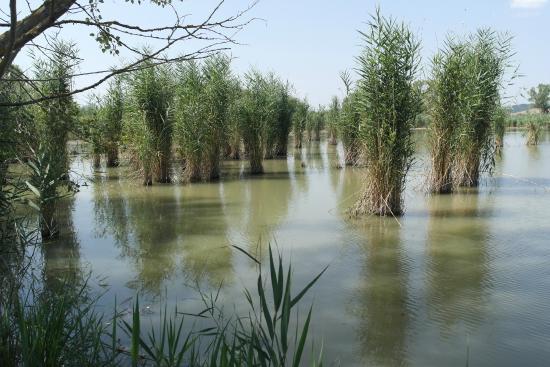 il Lago di Montepulciano