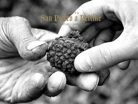 La Cucina di San Pietro a Pettine